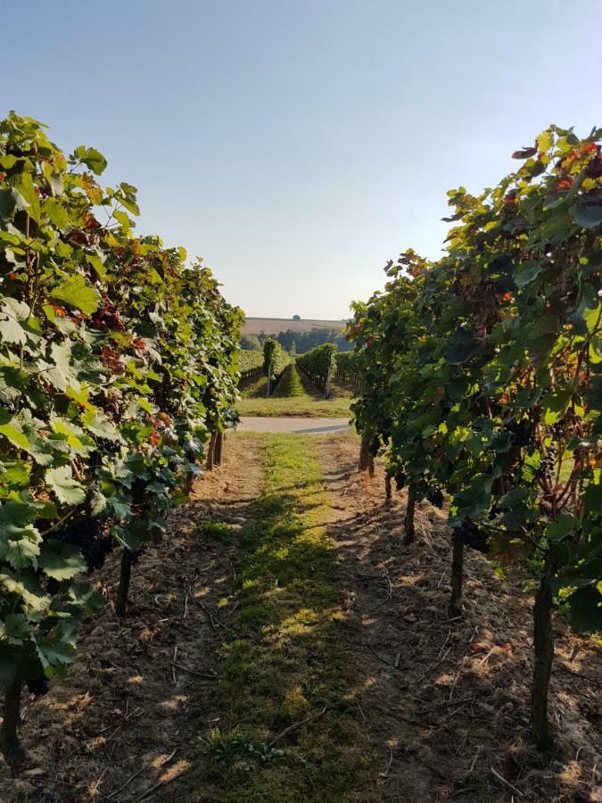 Weingut & Gaestehaus Nagel Kapellen-Drusweiler Ngoại thất bức ảnh