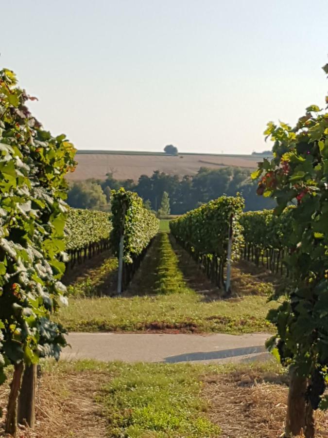 Weingut & Gaestehaus Nagel Kapellen-Drusweiler Ngoại thất bức ảnh